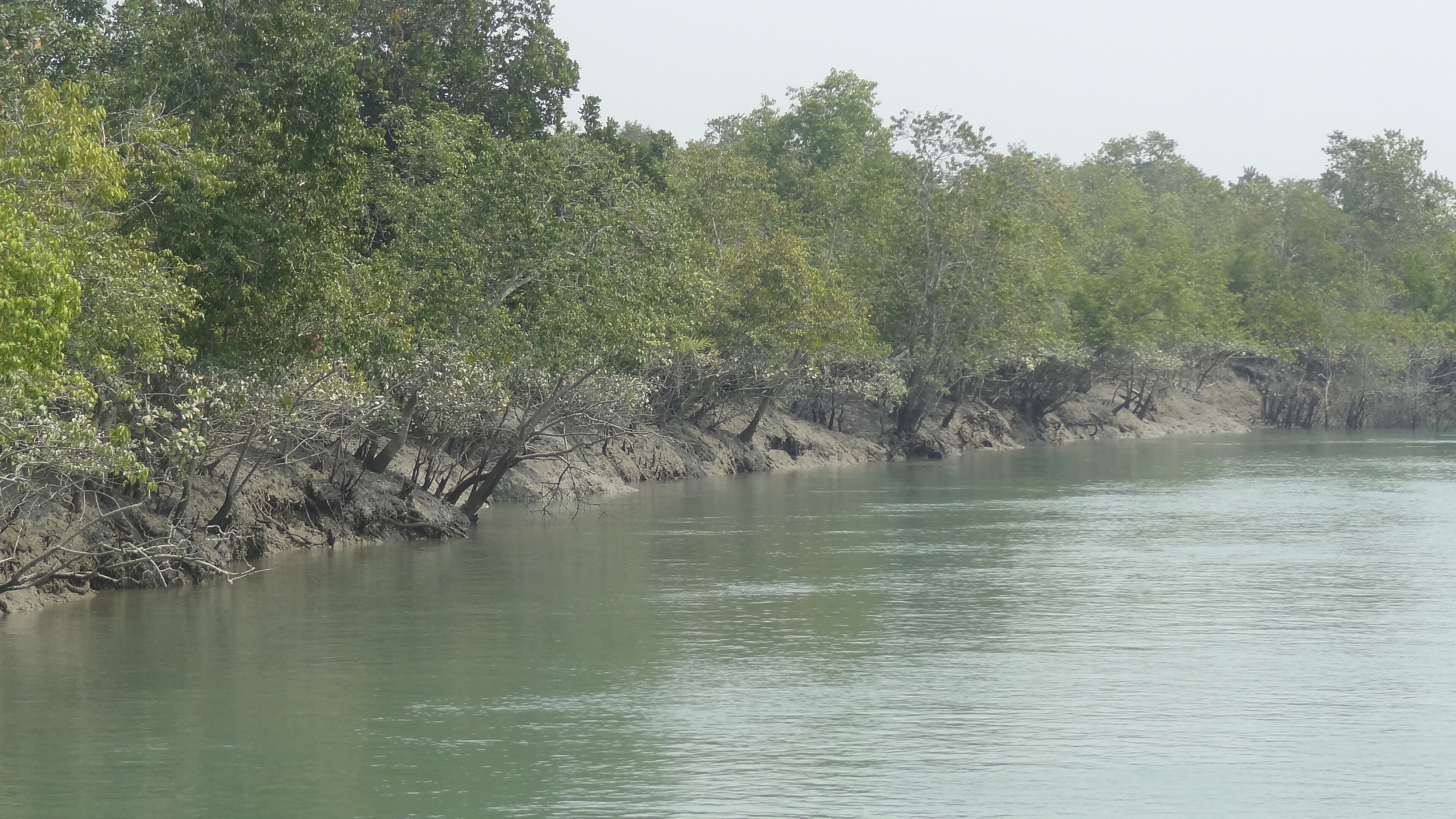 The Sundarbans, Bagerhat